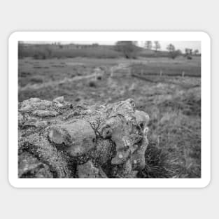 Ancient stone wall at a historical Roman camp in rural Norfolk, UK Sticker